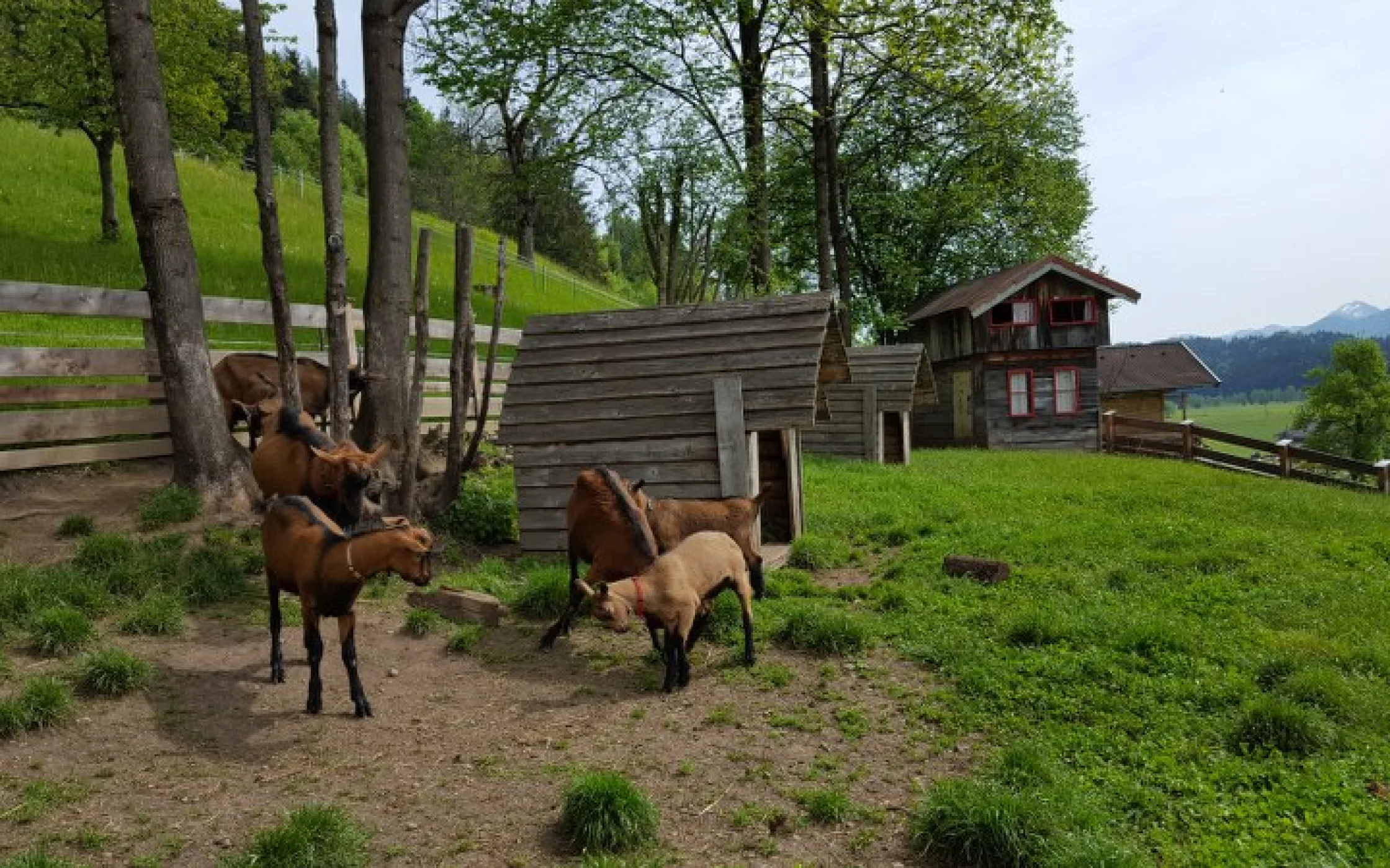 Lehrfahrt SaB 2016 14_800x450.jpg